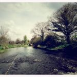 Camowen River (Edenderry)