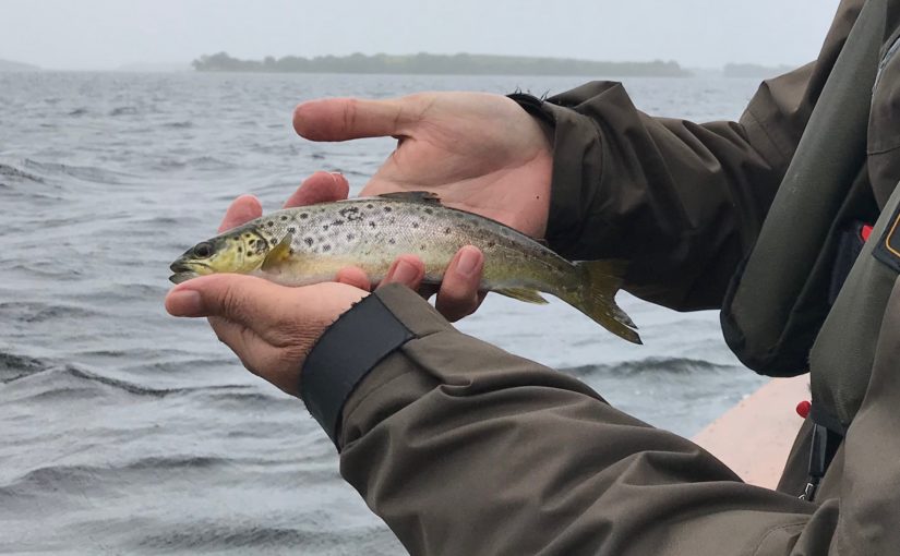 A slow day on The Corrib